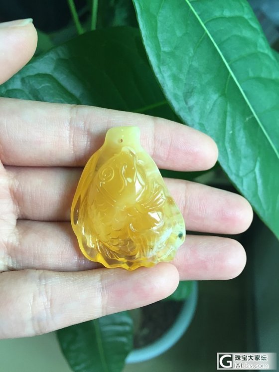 蜜蜡精雕鱼牌，精致牡丹花_珠宝