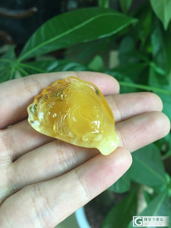 蜜蜡精雕鱼牌，精致牡丹花_珠宝