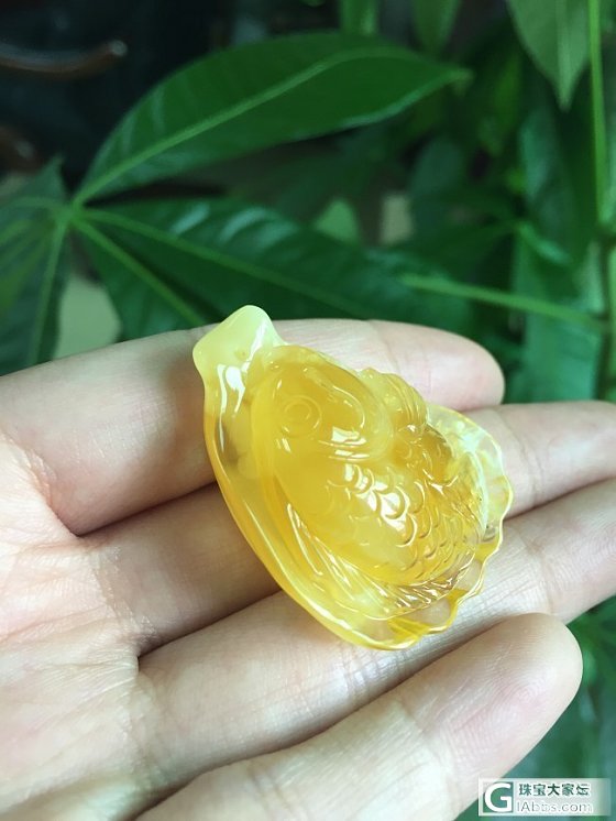 蜜蜡精雕鱼牌，精致牡丹花_珠宝