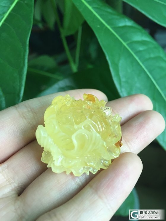 蜜蜡精雕鱼牌，精致牡丹花_珠宝