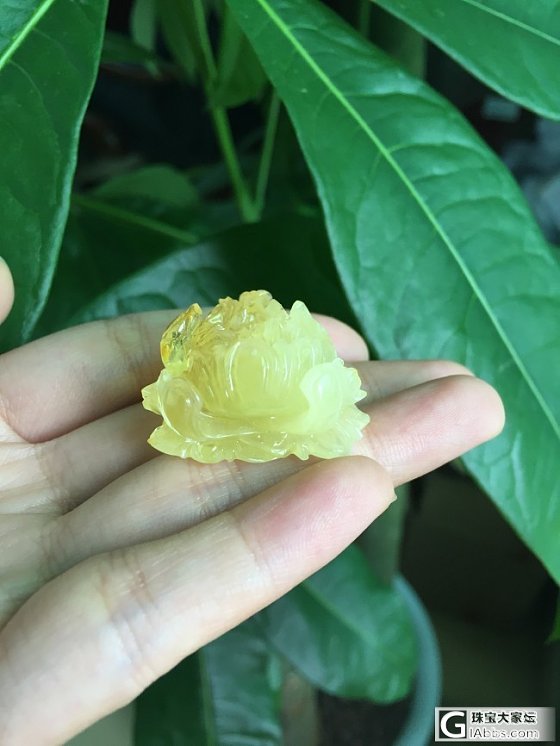 蜜蜡精雕鱼牌，精致牡丹花_珠宝