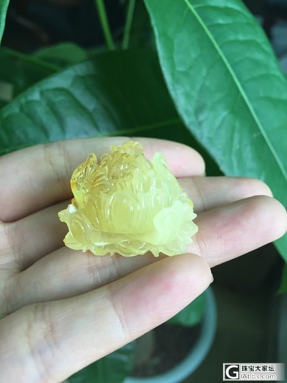 蜜蜡精雕鱼牌，精致牡丹花_珠宝
