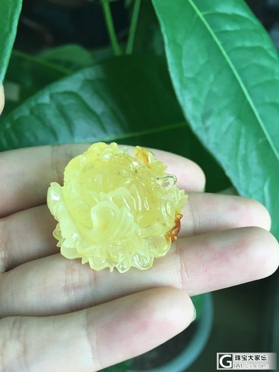 蜜蜡精雕鱼牌，精致牡丹花_珠宝