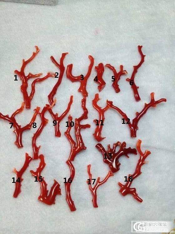 一些白菜价珊瑚枝子_有机宝石