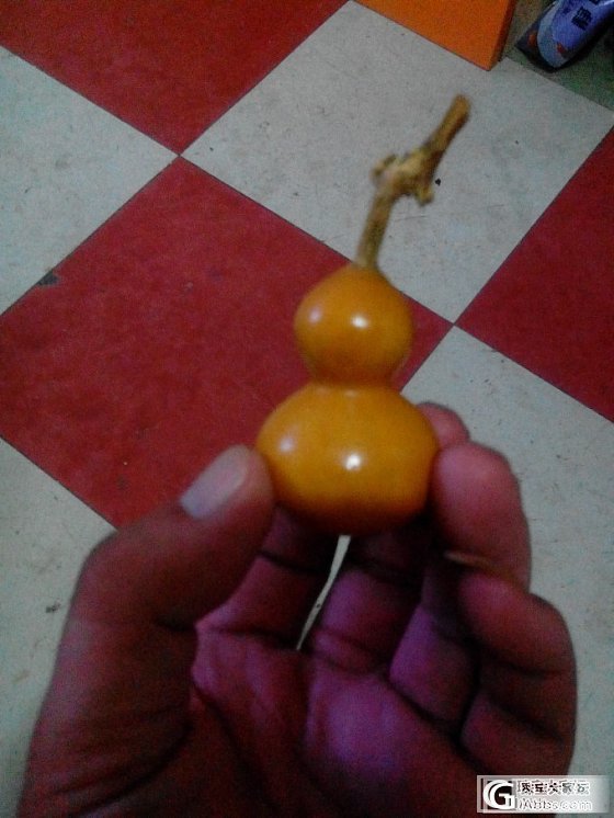 另一个葫芦_葫芦