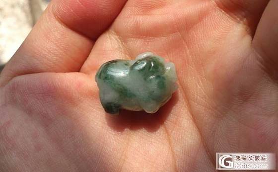翻出一只早年的袖珍型小猪猪，小花猪，超萌萌哒_翡翠