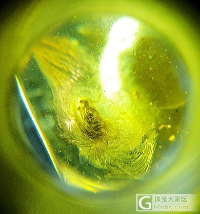 金龟子虫珀_琥珀