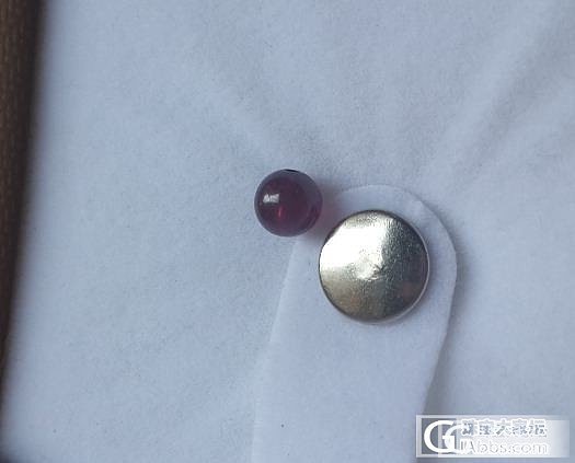 小小6mm紫牙乌一颗，大家帮忙看看好坏_石榴石
