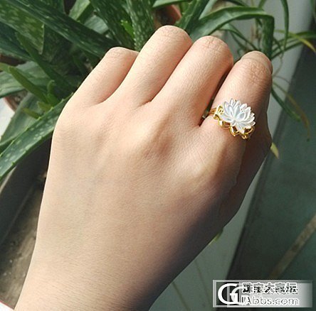 第可梦吊坠，白贝荷花戒指还图，有闪必还_吊坠戒指金福利社