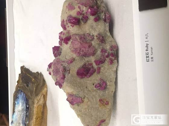 上海博物馆的云南红宝石矿展品_展会红宝石