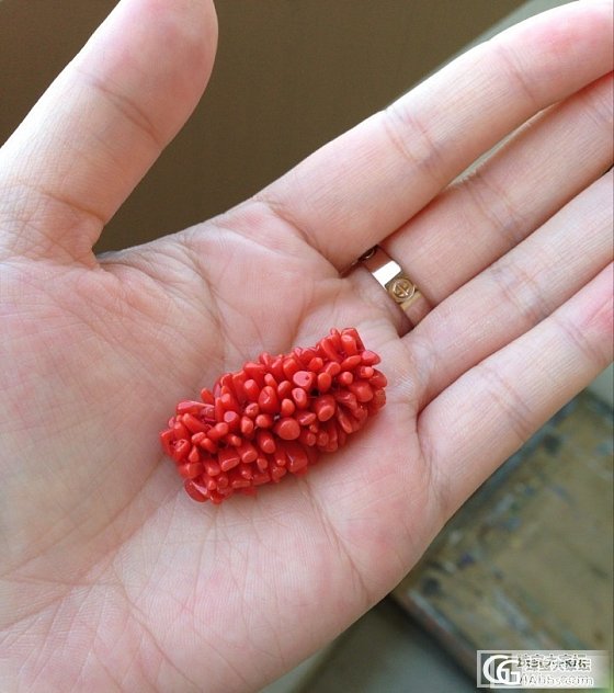 地中海纯天然沙丁红珊瑚毛毛虫_有机宝石