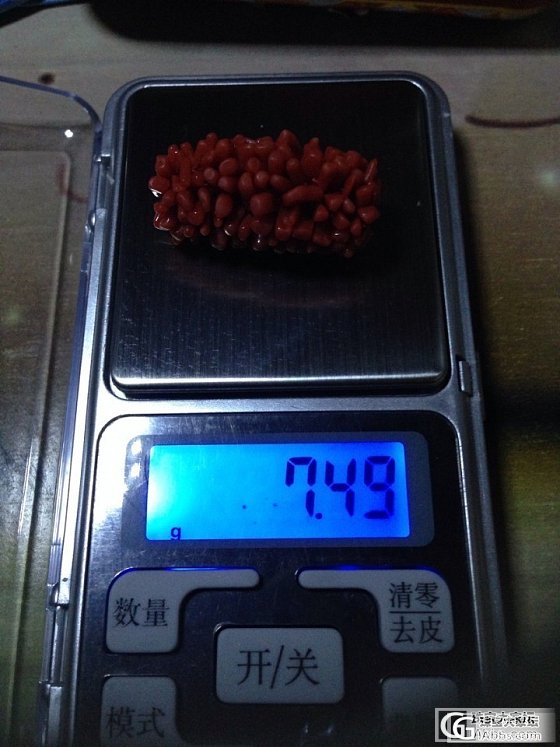 地中海纯天然沙丁红珊瑚毛毛虫_有机宝石
