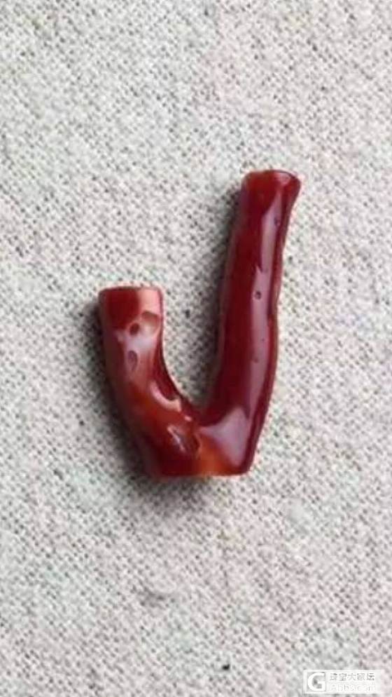 新手求帮助 大家帮我看看这两块珊瑚是什么_珊瑚