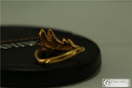 转校长家抢的素金戒指（已转）_金