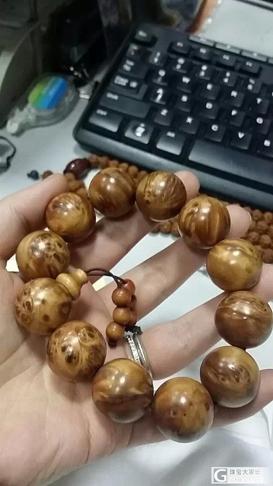 太行陈化崖柏2.0   还卡白菜价出_文玩