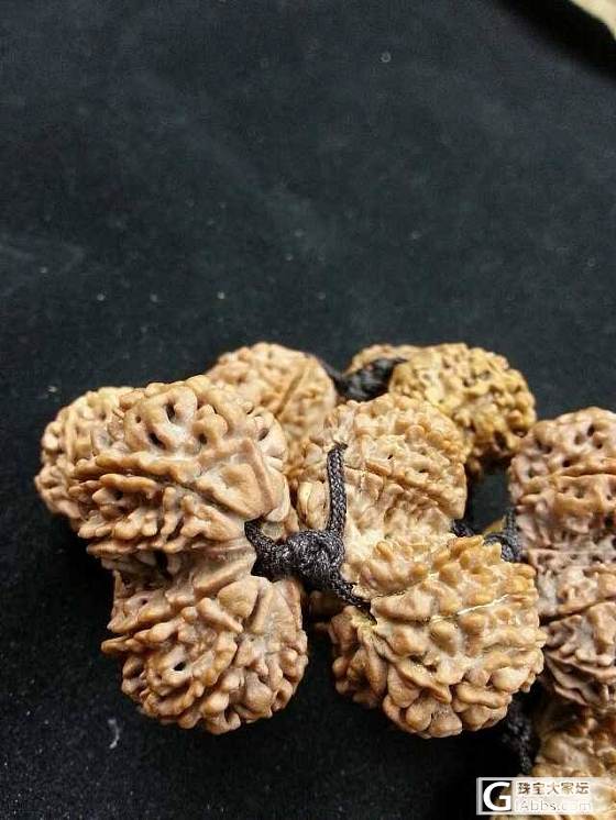 今天来点特别的金刚_菩提子