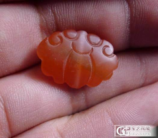 【已结缘】特价 88元南红蝴蝶_玉石