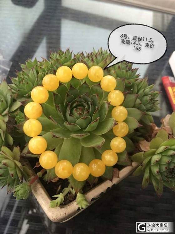 团烟头家鸡油黄白花11-12天然无优化手串，提前截团，谢谢大家支持_珠宝