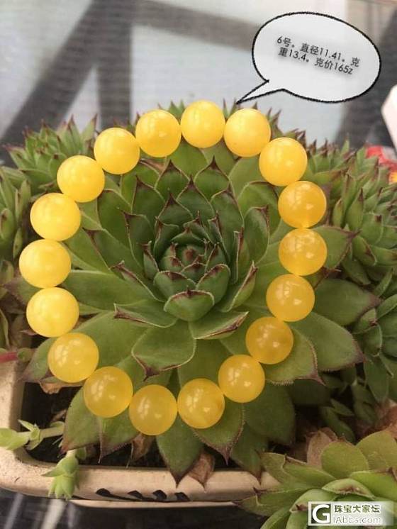 团烟头家鸡油黄白花11-12天然无优化手串，提前截团，谢谢大家支持_珠宝