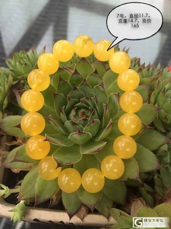 团烟头家鸡油黄白花11-12天然无优化手串，提前截团，谢谢大家支持_珠宝