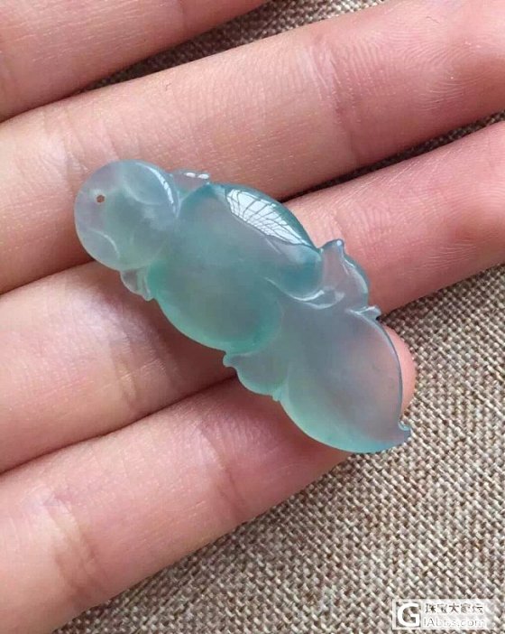 冰种金鱼。。种老底子细腻_翡翠