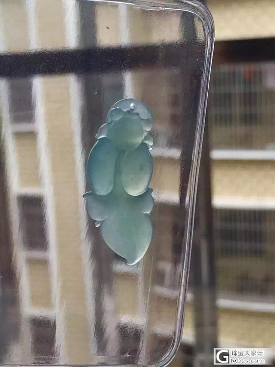 冰种金鱼。。种老底子细腻_翡翠