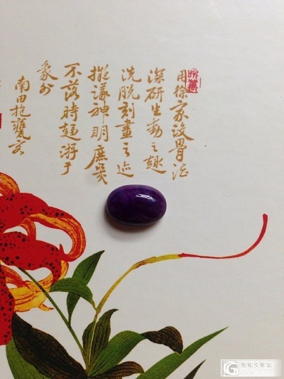 大家都怎么给小舒拍照的啊，传授一下经验，一下午了都没拍好_舒俱来