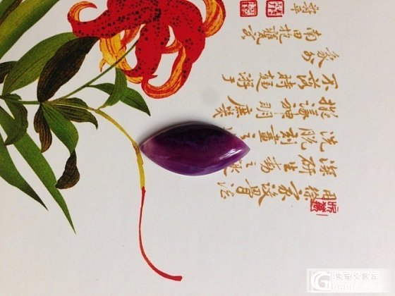 大家都怎么给小舒拍照的啊，传授一下经验，一下午了都没拍好_舒俱来
