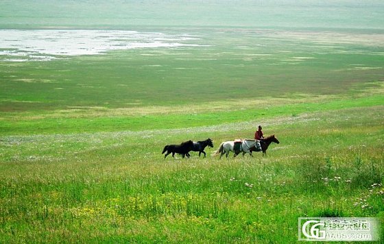 辉腾锡勒草原——让我流连忘返的美丽地方_摄影