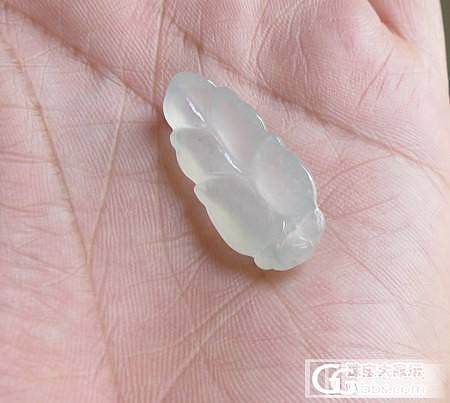 【冰冰翠】天然缅甸翡翠白珠宝光叶子_翡翠