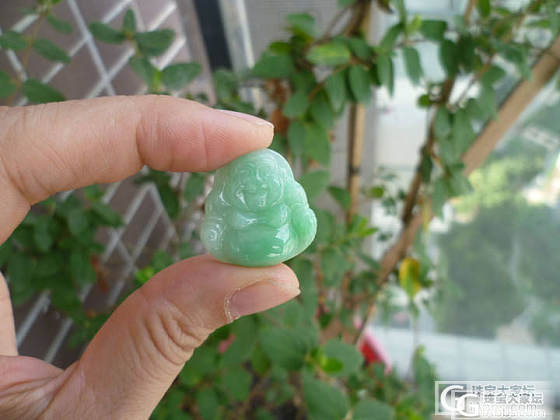 A货满阳绿佛公680元_翡翠