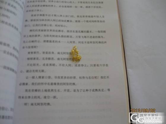 今年买的吊坠（集合图照）附亚马逊的吊坠重拍照_吊坠金