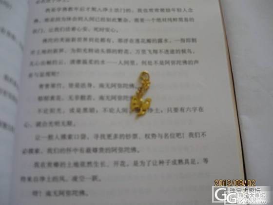 今年买的吊坠（集合图照）附亚马逊的吊坠重拍照_吊坠金
