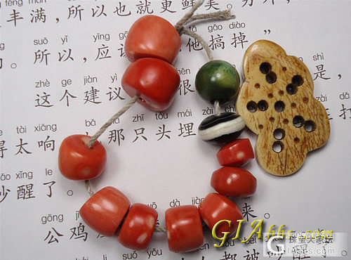 啥都玩玩_珊瑚