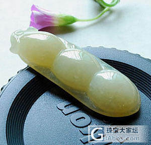 色豆_翡翠