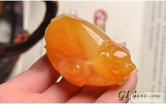 锦玉轩黄龙玉——《招财金猪》SXDS110316_玉石