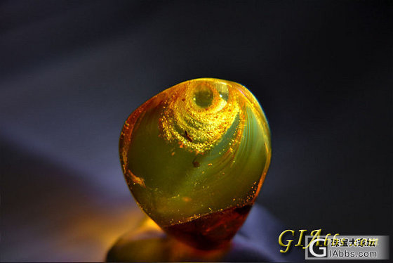 多米尼加虫珀植物珀一块 有荤有素_琥珀