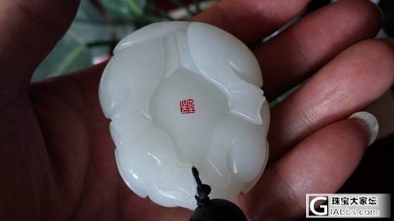 漂亮的猪把件，大家看看是籽料吗？_和田玉