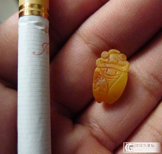 450元 完美黄沁籽料知了小精品_玉石