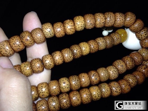 新手帮忙看看这串正星月怎么样_菩提子