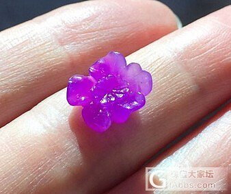 太久没来，刷存在感_舒俱来