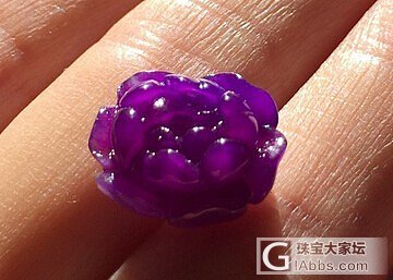 太久没来，刷存在感_舒俱来