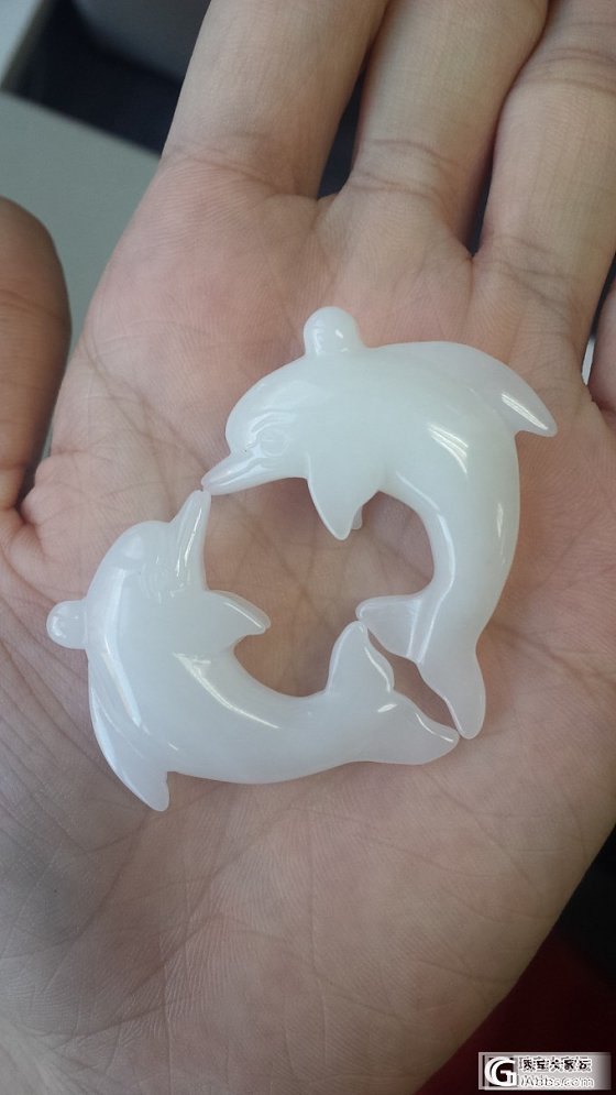上次从坛子里拿的小海豚和花花，还不错哦_砗磲
