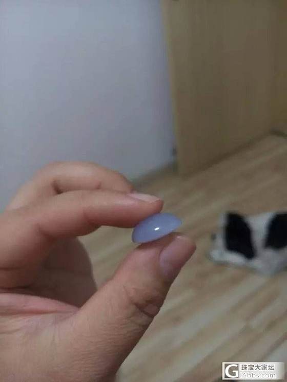 最近喜欢玩蛋，即便换车买房后砸锅卖铁也完蛋。。。补自然光图了_翡翠