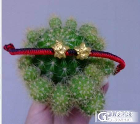新鲜出炉的第二件手绳_编绳金