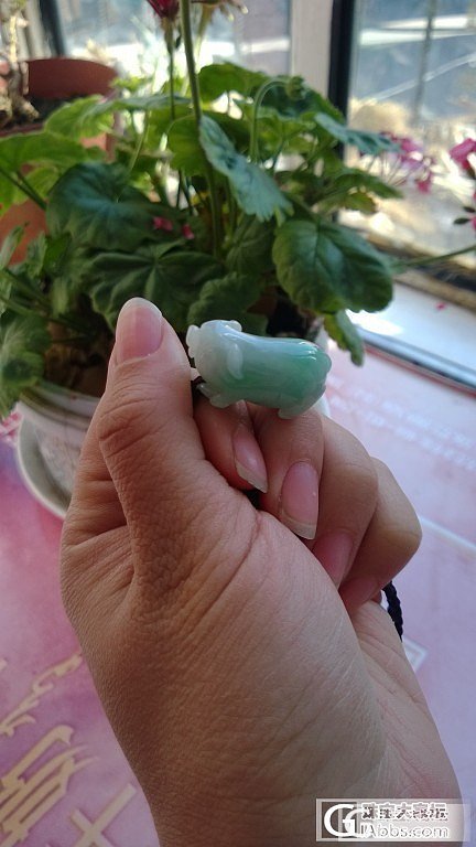 飘阳绿猪猪_翡翠