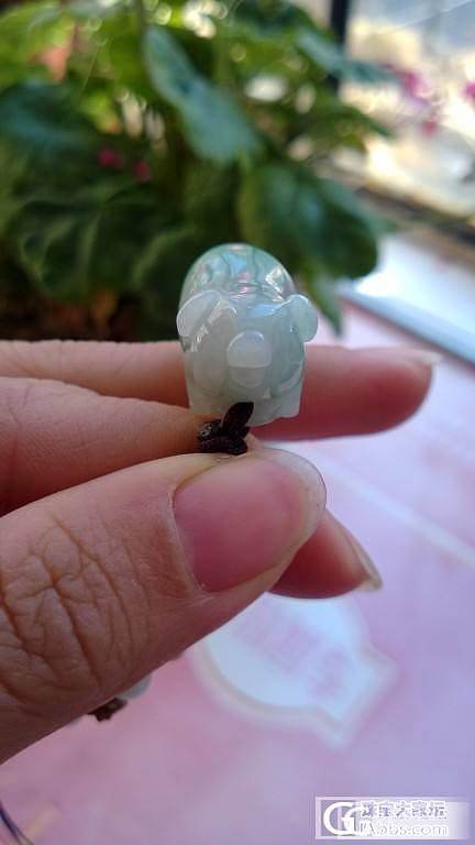 飘阳绿猪猪_翡翠