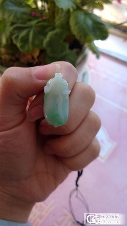 飘阳绿猪猪_翡翠