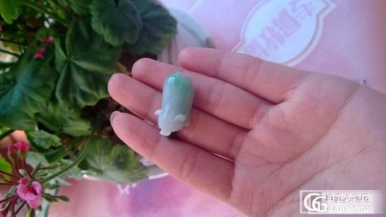 飘阳绿猪猪_翡翠