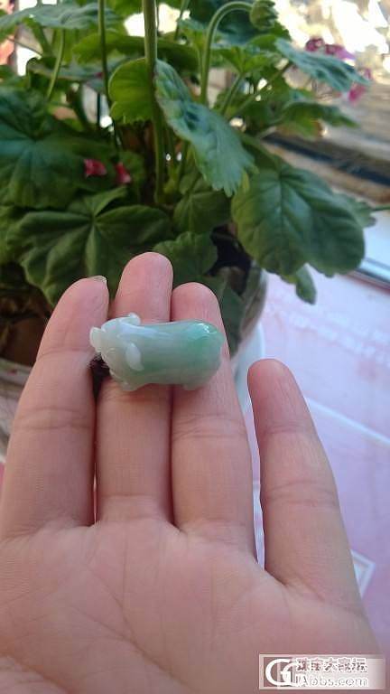 飘阳绿猪猪_翡翠